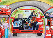 Birds’ Car